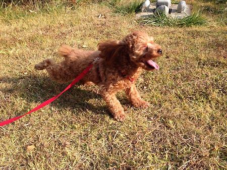 썸네일 카드형 게시글 테스트